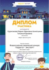 Диплом участника педагог-эксперт